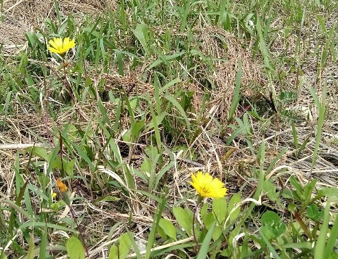 寒い冬が去りました